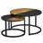 Ixia Coffee Table
