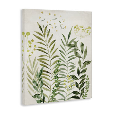  "Delicate Herbs & Leaves", art mural sur toile par Hannah Dawson