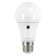 10W E27 LED GLS Light Bulb Frosted