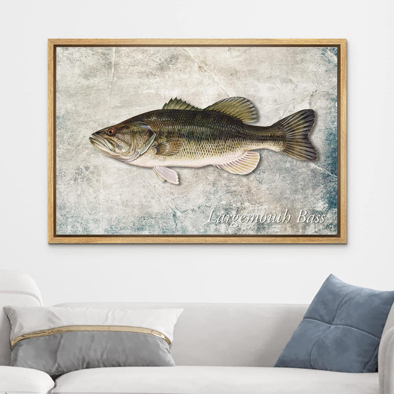 Fish " Largemouth Bass Fish On Granite Background Marine Life ", 24'' H x 36'' W, Natural Framed