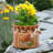 Adwait Handmade Pot Planter