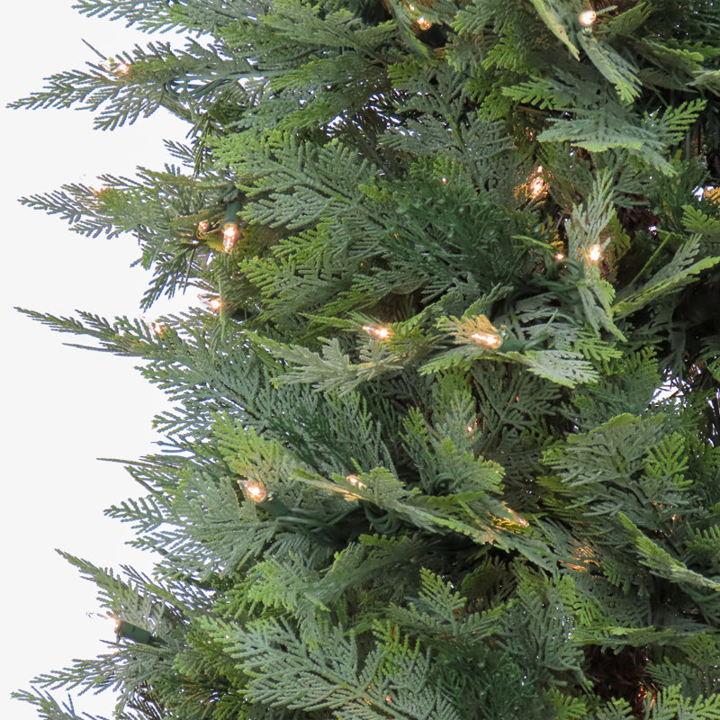 The Holiday Aisle® 5 ft. Pre-Lit Cypress Tree in Nursery Pot