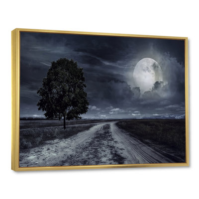 " Paved Road Under A Full Moon "