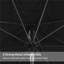 Traditional Parasol-2023701058