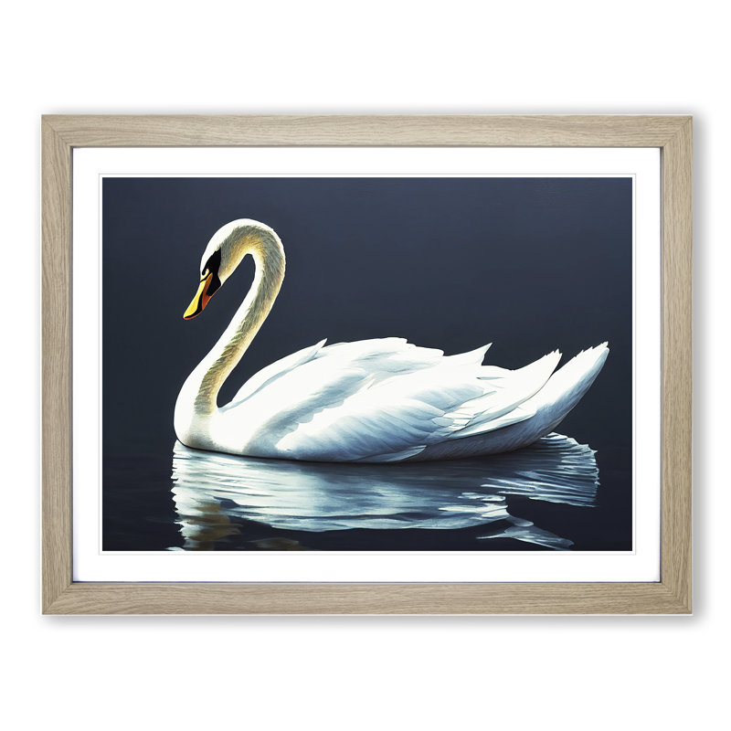 Astounding Swan - Single Picture Frame Print, 25cm H x 34cm W, Grey