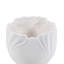 Pot Planter-504665349-504665355
