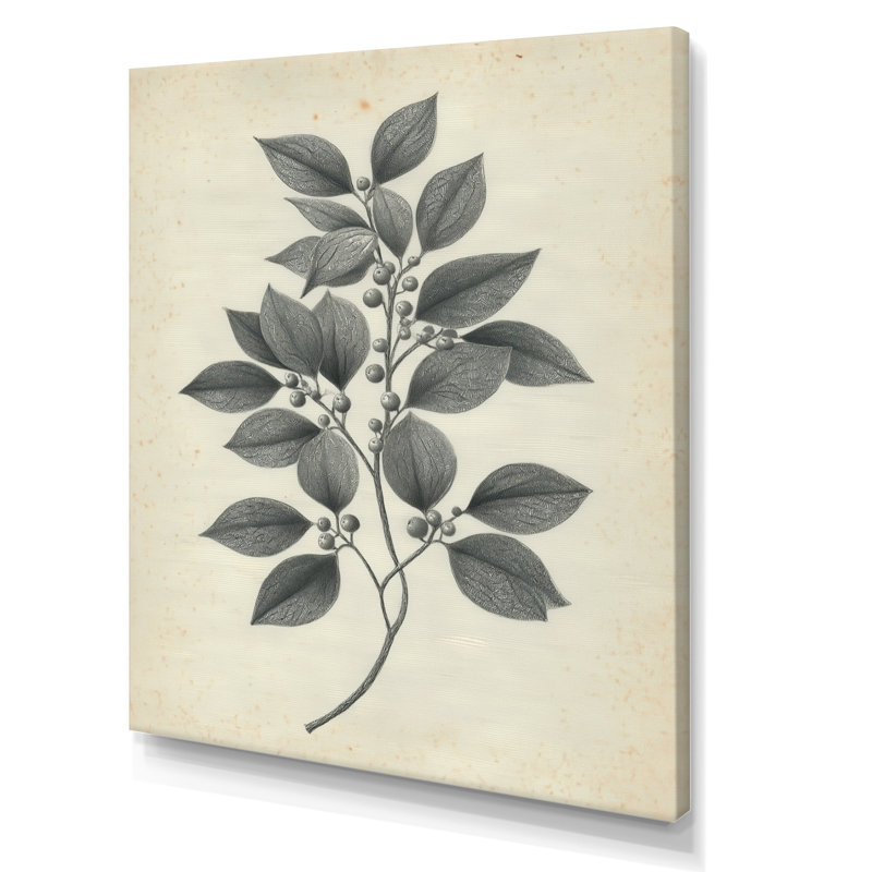 Impression sur toile botanique grise, H 20 po x l 12 po, Toile tendue, Ne s’applique pas