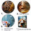 Décoration murale abstraite représentant une harmonie de tortues - Tortue-97203110-97203109