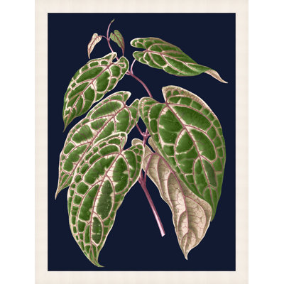 Botany on Blue 1' Framed Graphic Art Print on Glass
