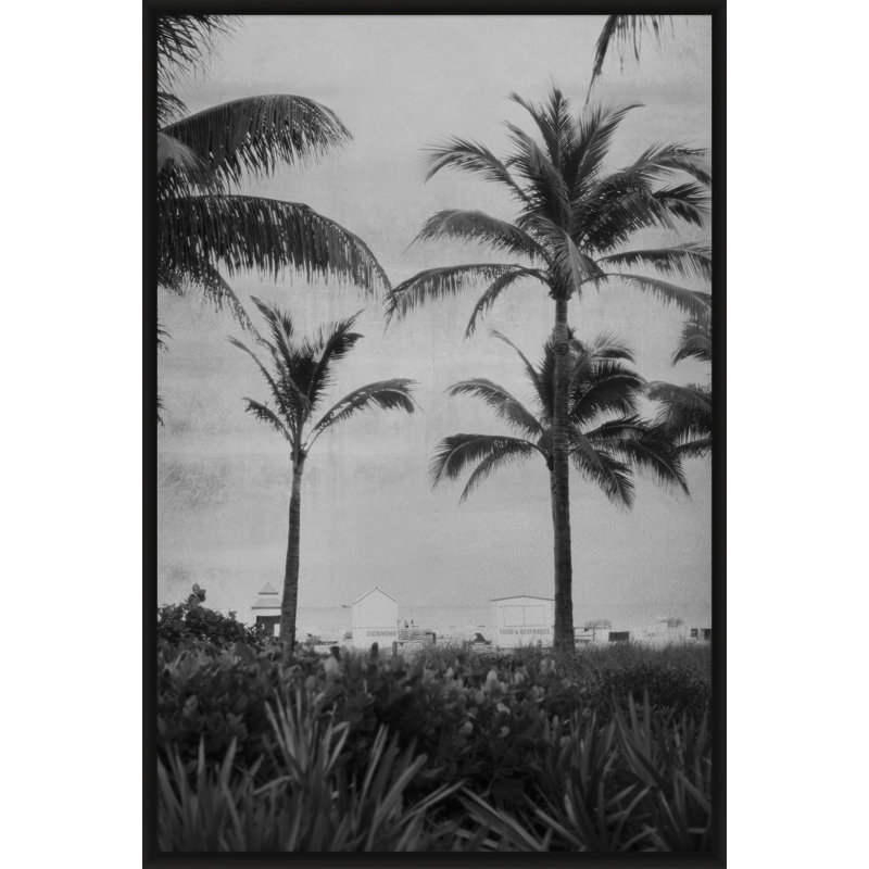 Silver Palms 1' Framed Photographic Print