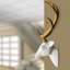 Christmas Deer Decorative Accent-44990302