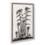Ferns by Julie De Graag - Wrapped Canvas-61881624