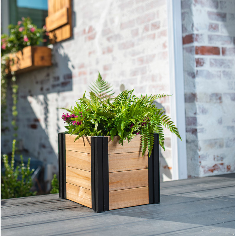 Mezza Wood Planter Box, 11.25" H x 12" W x 12" D