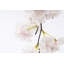 Vaporisateurs de fleurs cerises-218926023