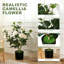 65cm Plant-446146512