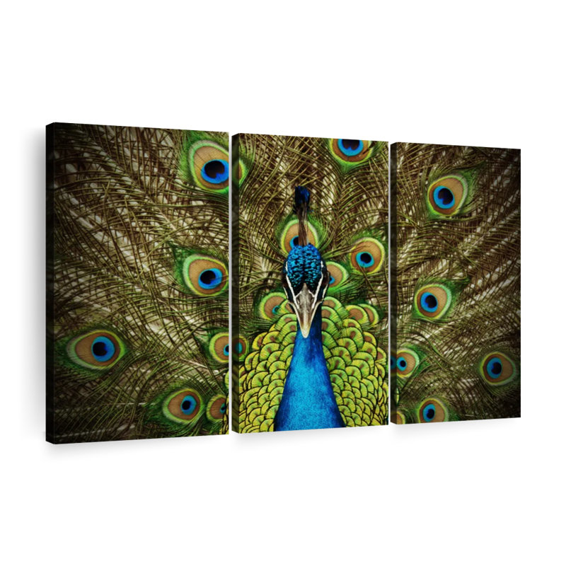 «Fierce Blue Peacock Wall Art» sur toile, H 32 po x l 50 po x P 1,25 po