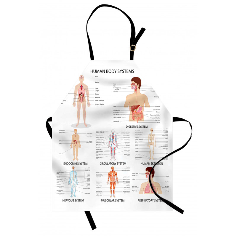 Bib Apron