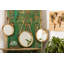 Ensemble de miroirs muraux ronds Hallowell
