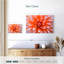 Fleur de dahlia orange blanc Harnek-107668312
