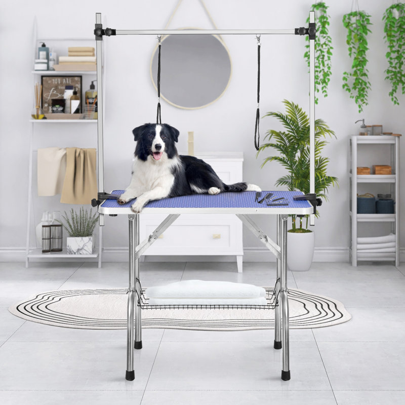 Table de toilettage professionnelle réglable, Bleu, H 30 po x l 46 po x P 23,5 po