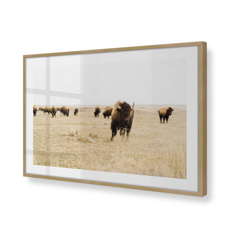 Motif de plaines sauvages, H 17,25 po x l 21,25 po x P 1,25 po, Cadre doré brossé