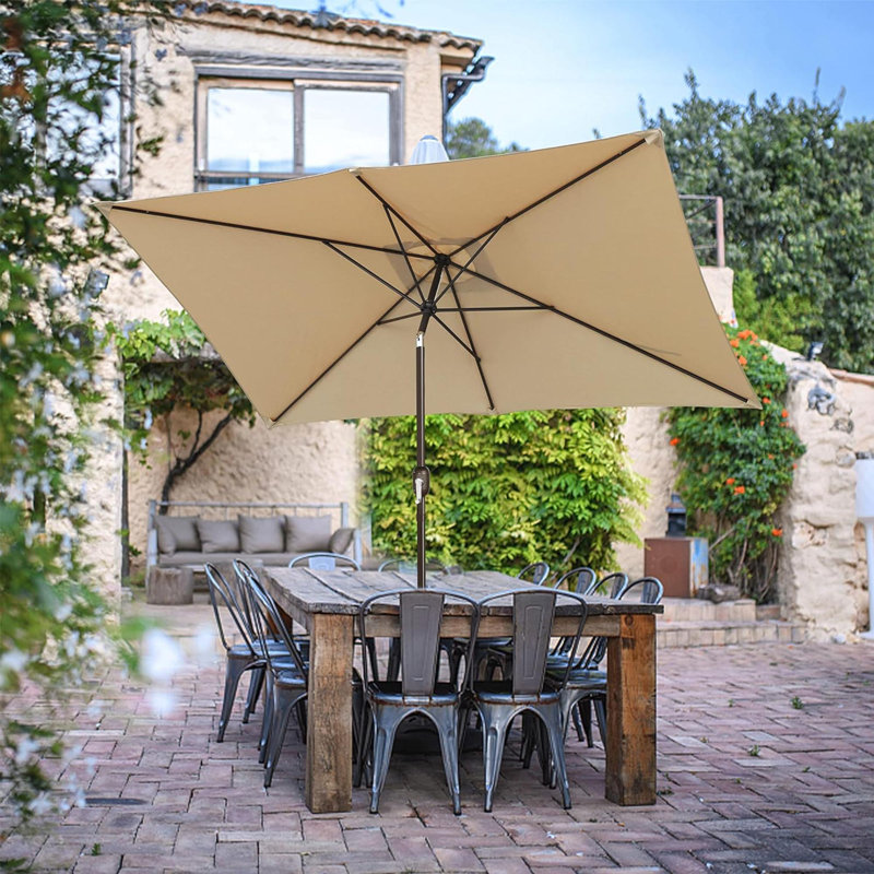 Parasol de marché Swainson, Brun clair