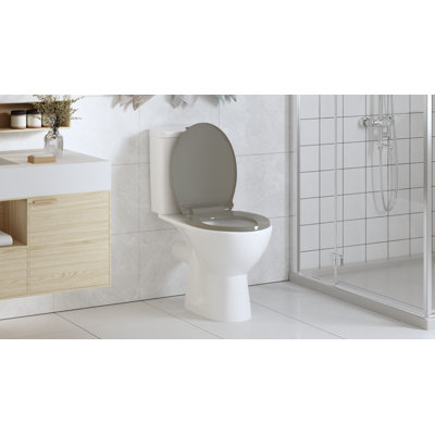 vidaXL Soft-Close Toilet Seat Quick Release Gray Oval