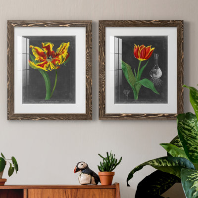 «Midnight Tulip II», reproduction encadrée de qualité supérieure - prête à être accrochée