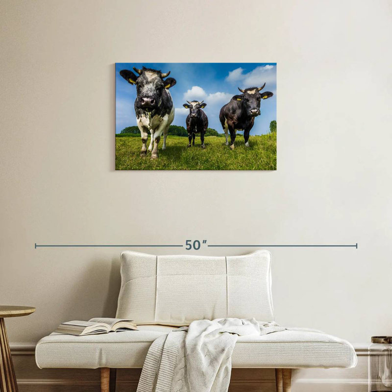 Vache, H 20 po x l 30 po