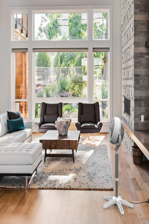Pedestal Fan: Elevated Airflow