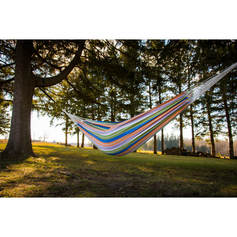 Hamac pour arbre double style Lewes, H 2 po x l 63 po x P 144 po, Rétro