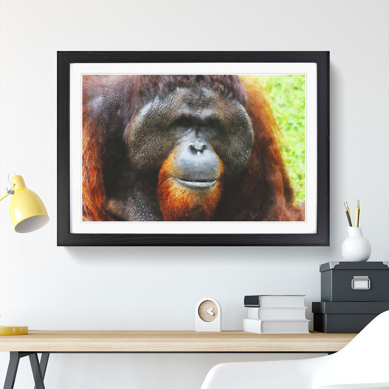 Orangutan Monkey Vol.1 - Framed Print, 27cm H x 36cm W x 2cm D, Black Framed
