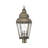 Arelene Lantern Head-76790907