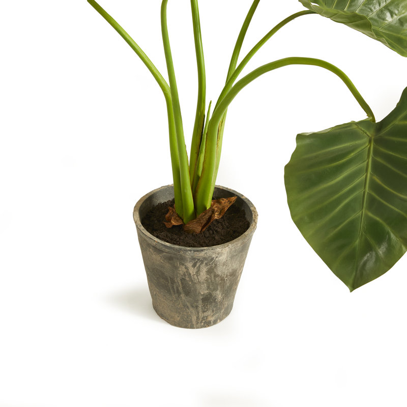 Faux Elephant Ear Plant in Ceramic Pot