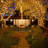 Outdoor 100 - Bulb 35'' Plug-in LED Mini String Light