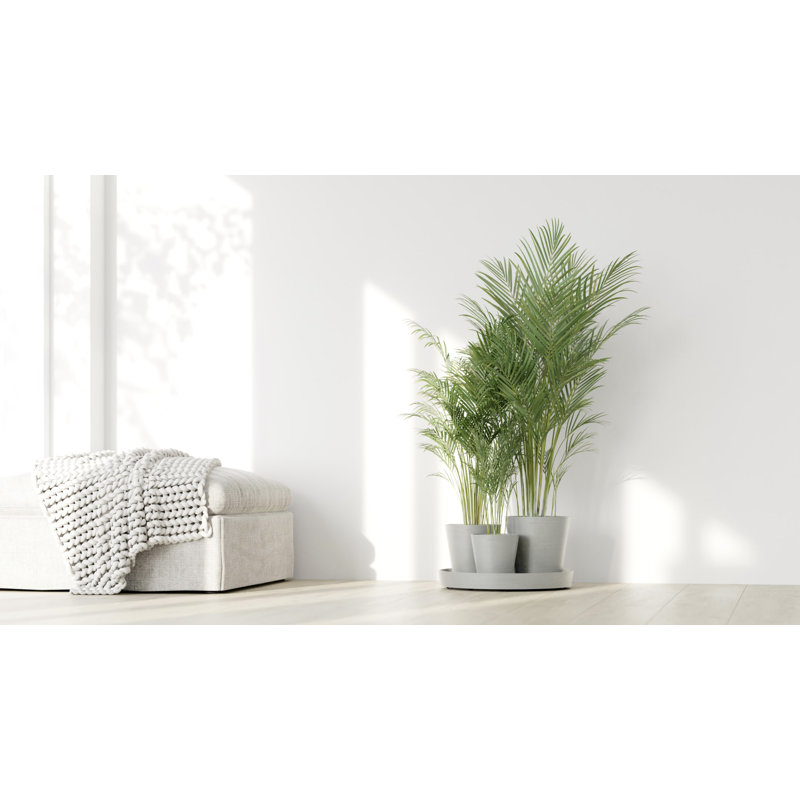 Pot Planter, White Gray