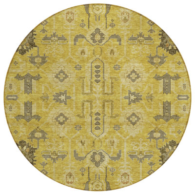 Killingly Washable Oriental Indoor / Outdoor Rug