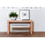 Chloé 60'' W Console Table