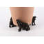 Laytonville Cavalier King Charles Spaniel