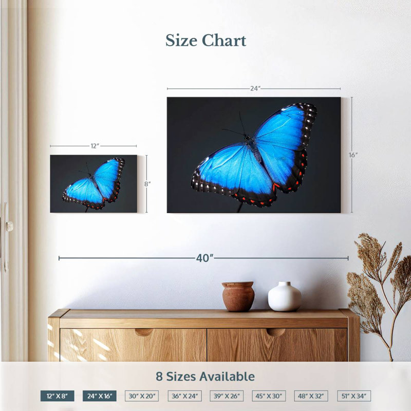 Brampt Blue Morpho Butterfly, 16" H x 24" W