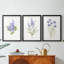 Lilas botanique délicat - impression encadrée sur mesure de qualité supérieure - 3 pièces-939360854