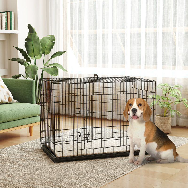 Metal Collapsible Pet Crate with 2 Doors