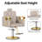 Barber Chair For Hair Stylists, Hydraulic Styling Chair With Heavy Duty Pump  (Gray-Gold)-1717095998-1715031339