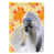 Shih Tzu Gris sélectionné
