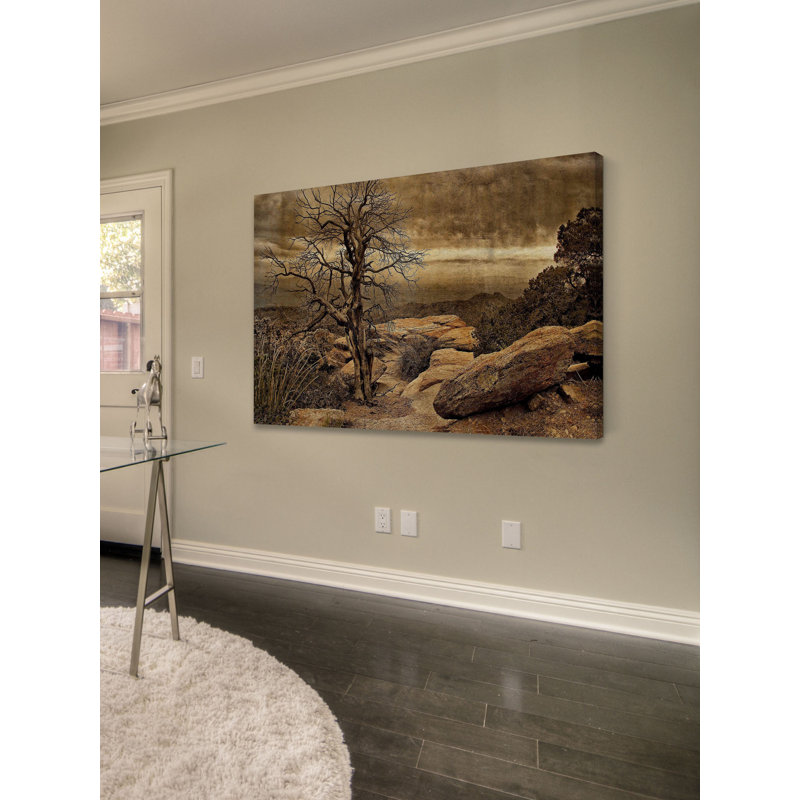 «Crags and Crooks I» par Leda Robertson, reproduction d'art sur toile tendue, 16 po x 24 po