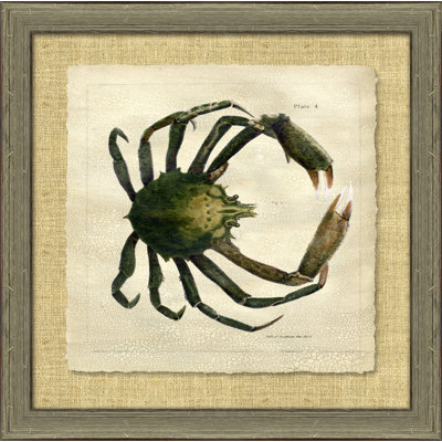 Crabe antique craquelé II - peinture encadrée sur papier