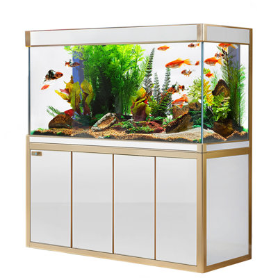 Rectangle Aquarium Tank