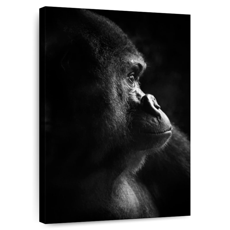 Gorilla Thinking, 12" H x 8" W