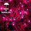 Guirlandes lumineuses-1570705973