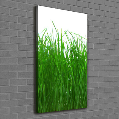 Grass - Wrapped Canvas Print